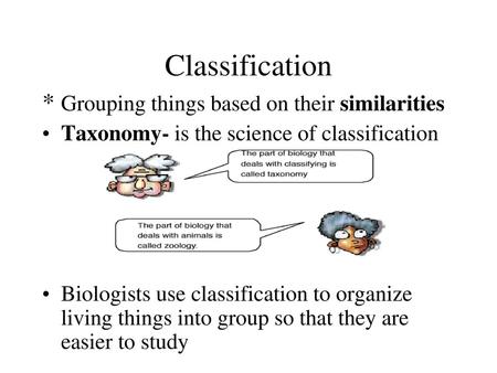 Classification * Grouping things based on their similarities