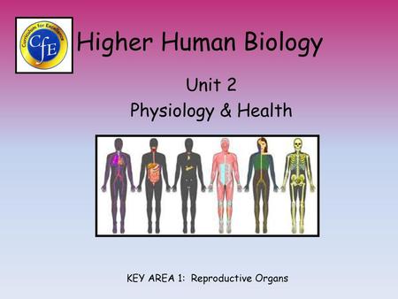 Unit 2 Physiology & Health