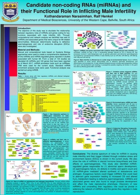 Candidate non-coding RNAs (miRNAs) and their Functional Role in Inflicting Male Infertility Kothandaraman Narasimhan, Ralf Henkel Department of Medical.