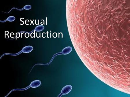 Sexual Reproduction.