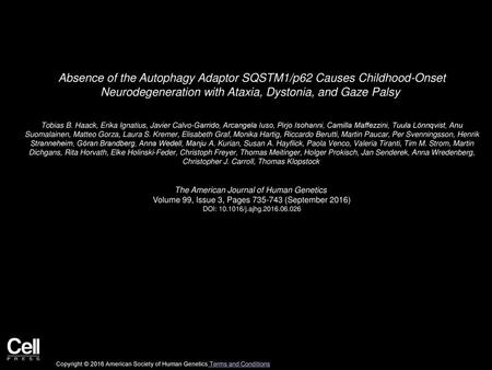 Absence of the Autophagy Adaptor SQSTM1/p62 Causes Childhood-Onset Neurodegeneration with Ataxia, Dystonia, and Gaze Palsy  Tobias B. Haack, Erika Ignatius,