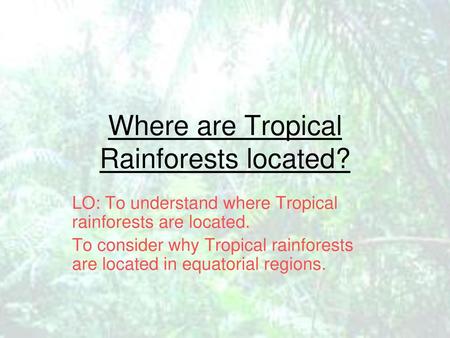 Where are Tropical Rainforests located?