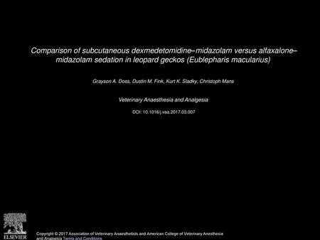 Comparison of subcutaneous dexmedetomidine–midazolam versus alfaxalone– midazolam sedation in leopard geckos (Eublepharis macularius)  Grayson A. Doss,