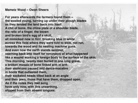 Mametz Wood – Owen Sheers