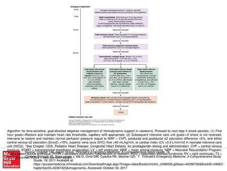 Algorithm for time-sensitive, goal-directed stepwise management of hemodynamic support in newborns. Proceed to next step if shock persists. (1) First hour.