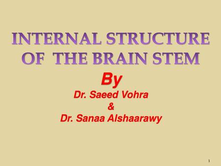 INTERNAL STRUCTURE OF THE BRAIN STEM By Dr. Saeed Vohra &