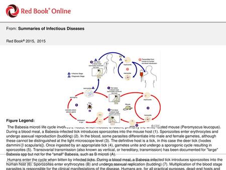 Copyright © 2017 American Academy of Pediatrics.