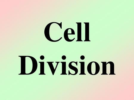 Cell Division.