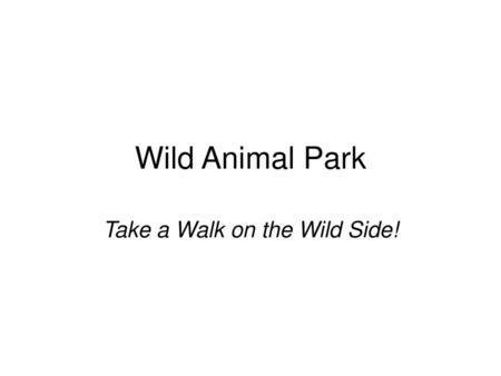 Take a Walk on the Wild Side!