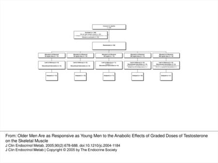 Fig. 1. Flow of subjects through different phases of the study.