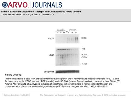 From: VEGF: From Discovery to Therapy: The Champalimaud Award Lecture