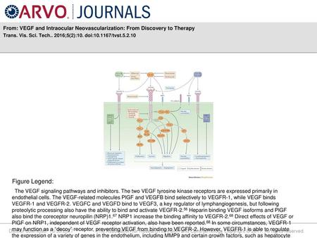 Trans. Vis. Sci. Tech ;5(2):10. doi: /tvst Figure Legend: