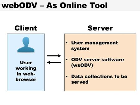 User working in web-browser