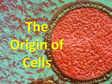 The Origin of Cells.