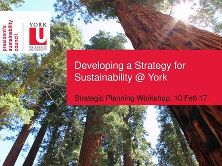 Developing a Strategy for York