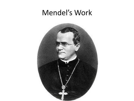 Mendel’s Work.