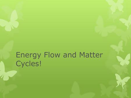 Energy Flow and Matter Cycles!