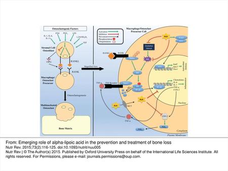 Abbreviations: COX-2, cyclooxygenase-2; Gpx3, glutathione peroxidase 3; IGF, insulin-like growth factor; IKK, I kappa B kinase; IκBα, inhibitor of kappa.