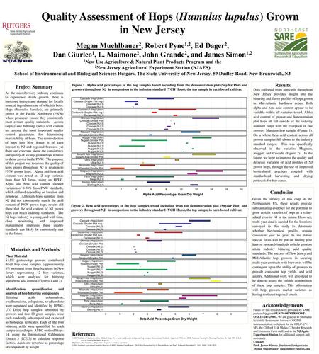 Quality Assessment of Hops (Humulus lupulus) Grown in New Jersey Megan Muehlbauer2, Robert Pyne1,2, Ed Dager2, Dan Giurleo1, L. Maimone2, John Grande2,