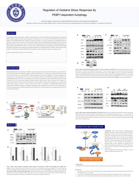 Regulation of Oxidative Stress Responses By PEBP1-dependent Autophagy