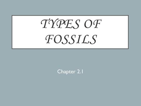 Types of Fossils Chapter 2.1.