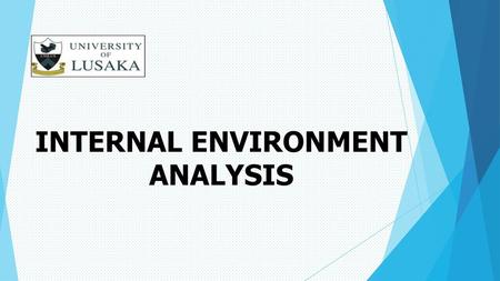 INTERNAL ENVIRONMENT ANALYSIS