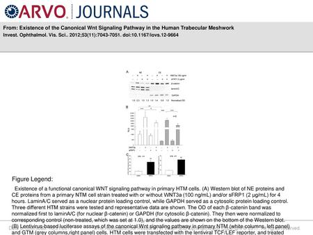 Invest. Ophthalmol. Vis. Sci ;53(11): doi: /iovs Figure Legend: