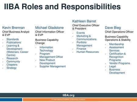 IIBA Roles and Responsibilities