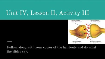 Unit IV, Lesson II, Activity III