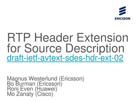 RTP SDES Header Extension