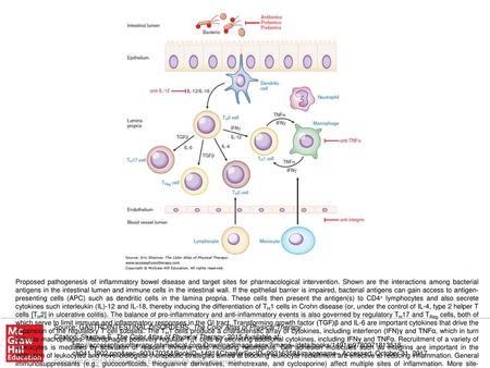 Proposed pathogenesis of inflammatory bowel disease and target sites for pharmacological intervention. Shown are the interactions among bacterial antigens.