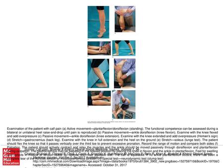 Examination of the patient with calf pain (a) Active movement—plantarflexion/dorsiflexion (standing). The functional competence can be assessed during.