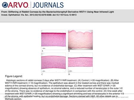 From: Stiffening of Rabbit Corneas by the Bacteriochlorophyll Derivative WST11 Using Near Infrared Light Invest. Ophthalmol. Vis. Sci.. 2012;53(10):6378-6388.