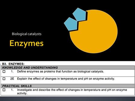 Biological catalysts Enzymes.