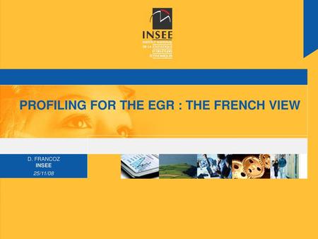 PROFILING FOR THE EGR : THE FRENCH VIEW