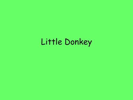 Little Donkey.