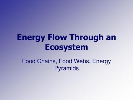 Energy Flow Through an Ecosystem