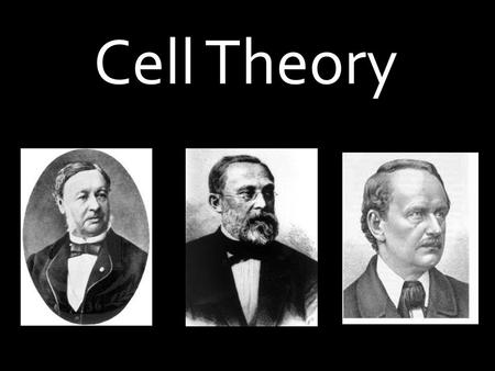 Cell Theory.