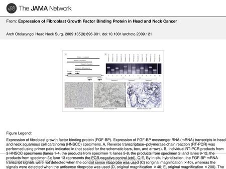 Copyright © 2009 American Medical Association. All rights reserved.