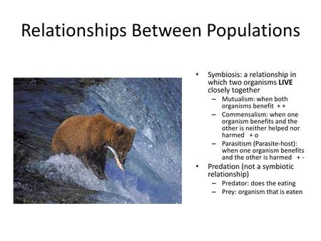 Relationships Between Populations