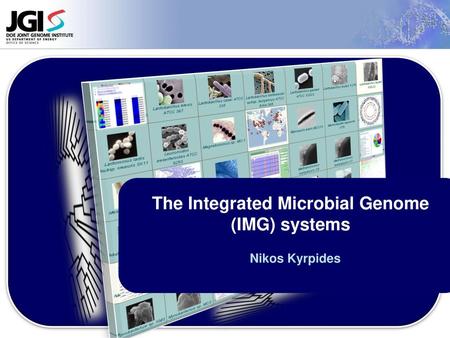 The Integrated Microbial Genome (IMG) systems