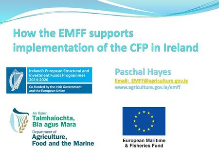 How the EMFF supports implementation of the CFP in Ireland