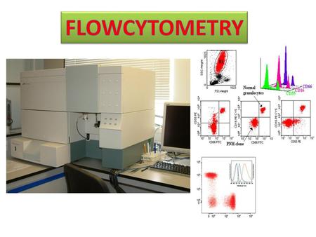 FLOWCYTOMETRY.