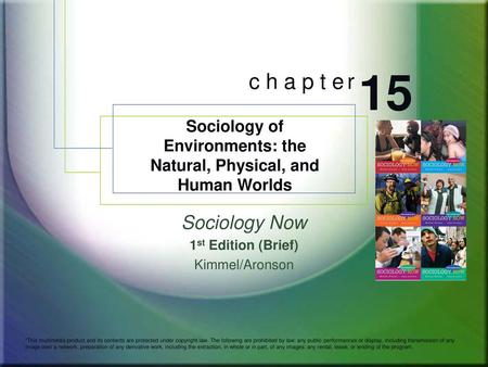 Sociology Now 1st Edition (Brief) Kimmel/Aronson