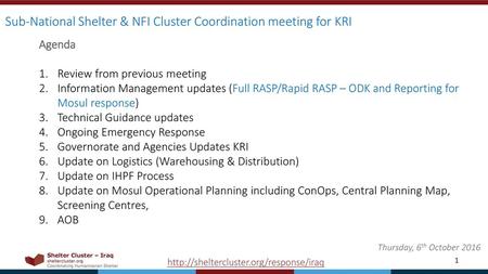 Sub-National Shelter & NFI Cluster Coordination meeting for KRI