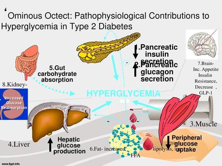 6.Fat- increased lipolysis, inc FFA