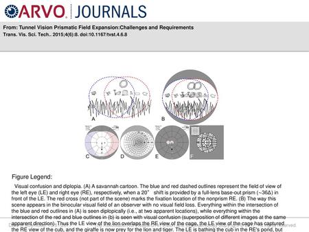 Trans. Vis. Sci. Tech ;4(6):8. doi: /tvst.4.6.8 Figure Legend: