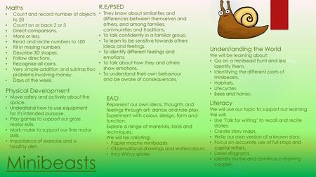Minibeasts R.E/PSED Maths Understanding the World Physical Development
