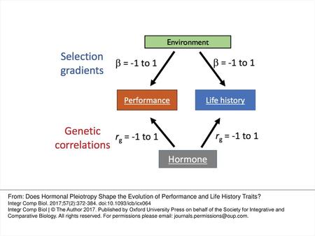 Fig. 1 Overview of model components to identify if hormonal pleiotropy constrains or facilitates phenotypic responses to selection. The environment imposes.