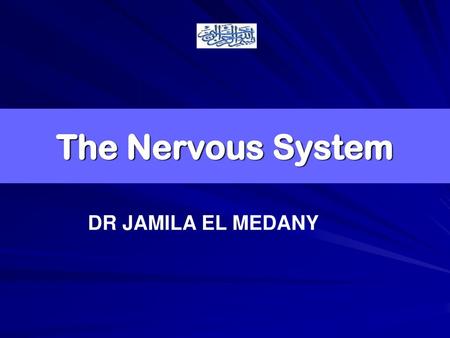 The Nervous System DR JAMILA EL MEDANY.